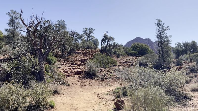 The Vortex Energy That Draws Visitors from Everywhere