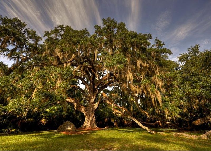 Bulow Creek State Park - Ormond Beach, Florida