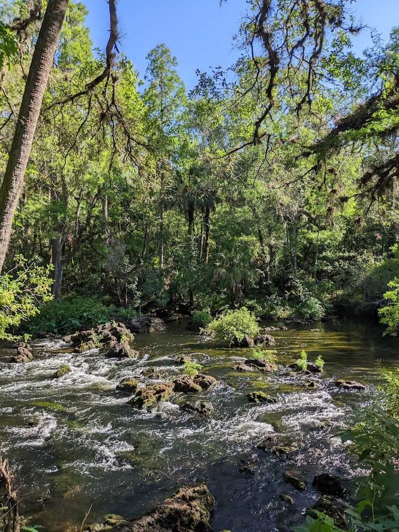 Hillsborough River State Park