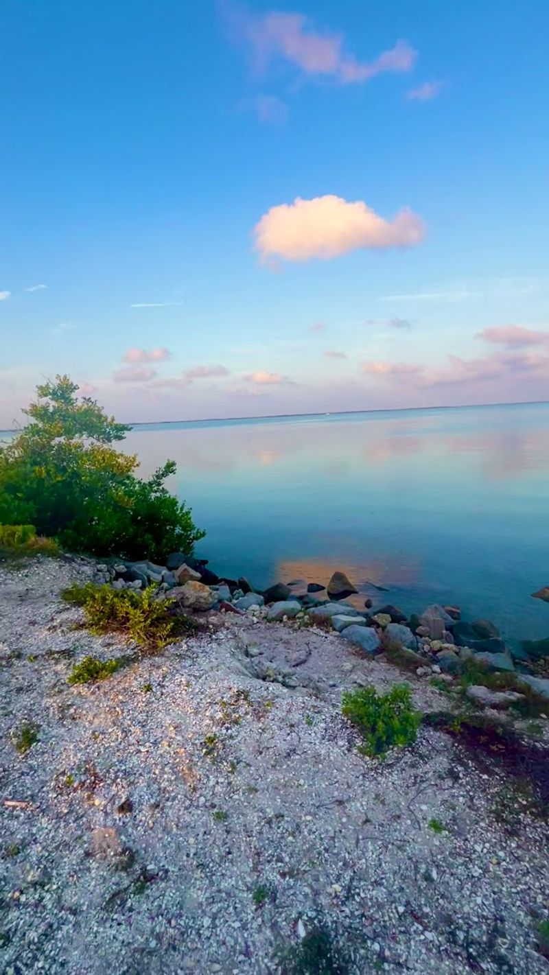 The quiet Florida island where time seems to slow down in the best possible way 10 A Barrier Island Ecosystem Teeming With Wildlife Beyond Just the Shoreline