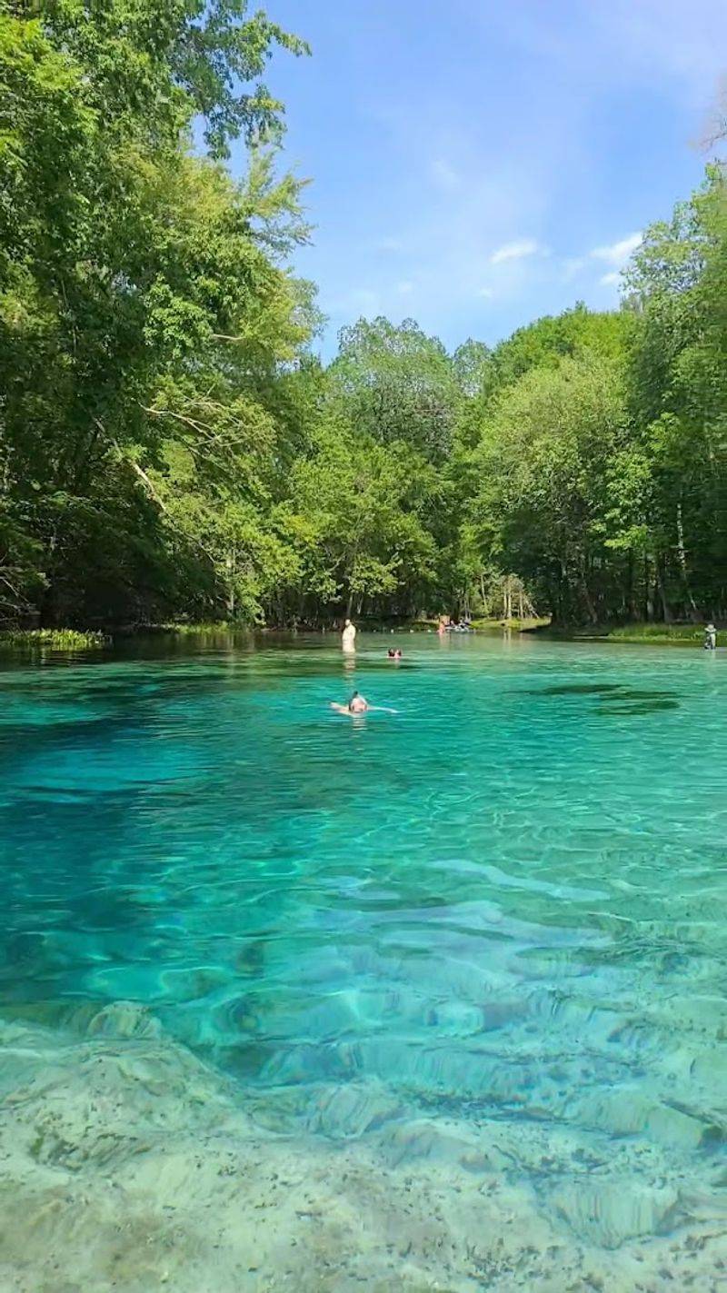 This hidden Florida spring is so clear and beautiful people cannot believe it is still this peaceful 7 Arrive Early to Beat the Crowds and Secure Your Spot