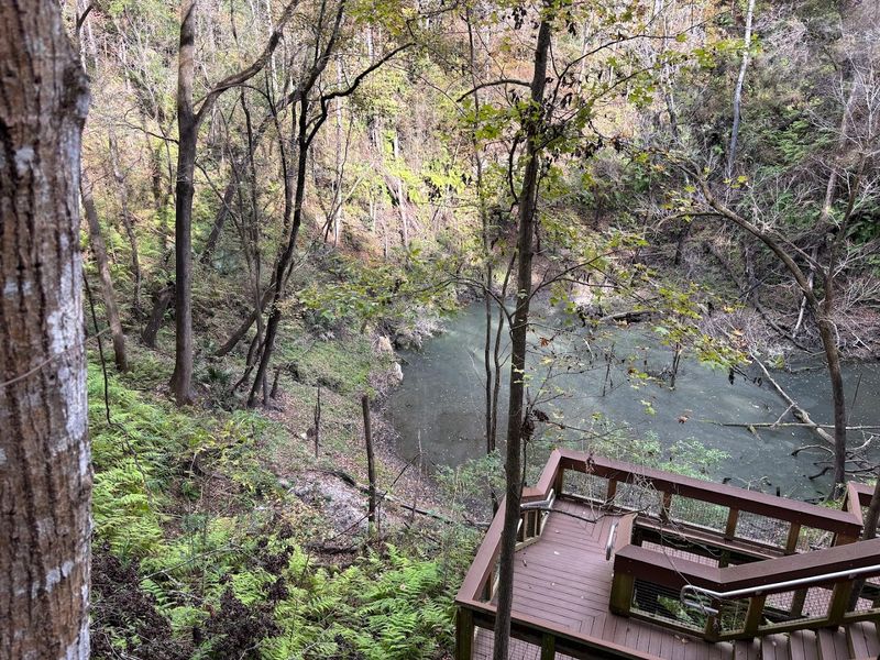 Picnic Areas: The Perfect Spot for a Post-Hike Meal
