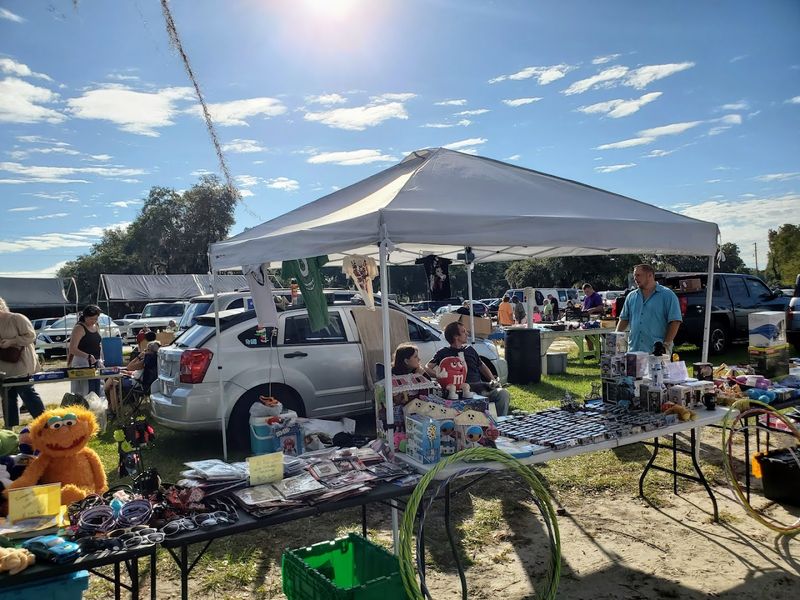 Parking Options and What to Expect