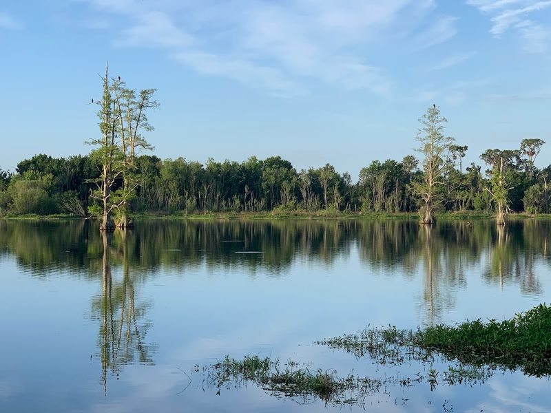 Family-Friendly Fun That Does Not Cost a Thing