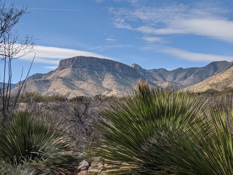 Nearby Attractions Worth Adding to Your Trip