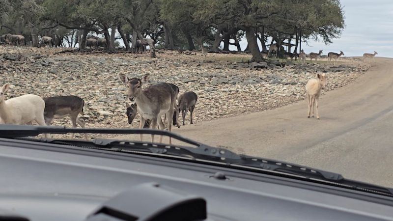 Admission Pricing and What to Know Before You Go