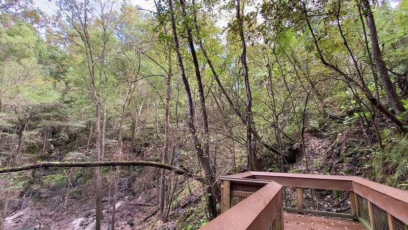 Accessibility Features: A Park That Welcomes Everyone