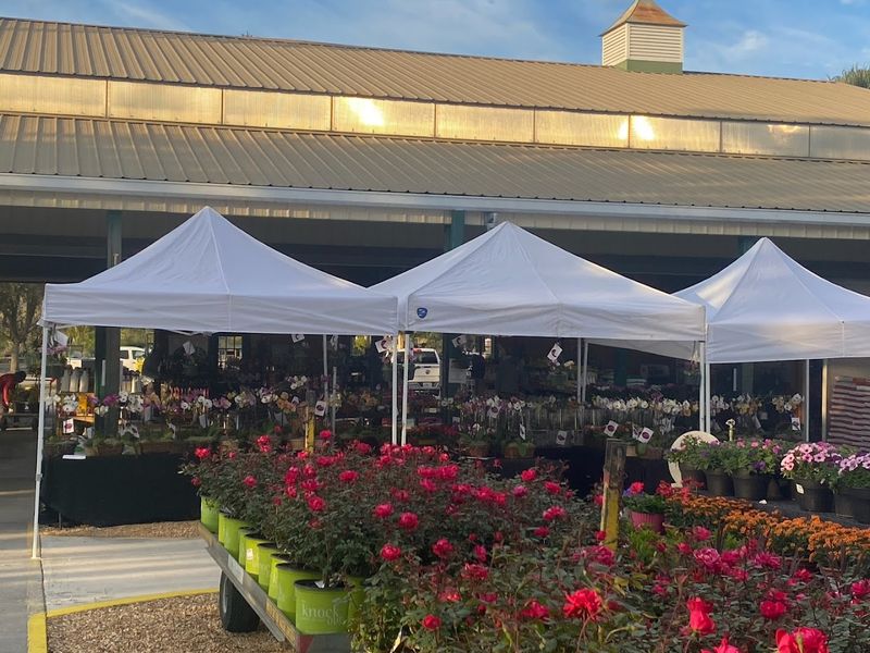 Year-Round Growing in Florida's Unique Climate