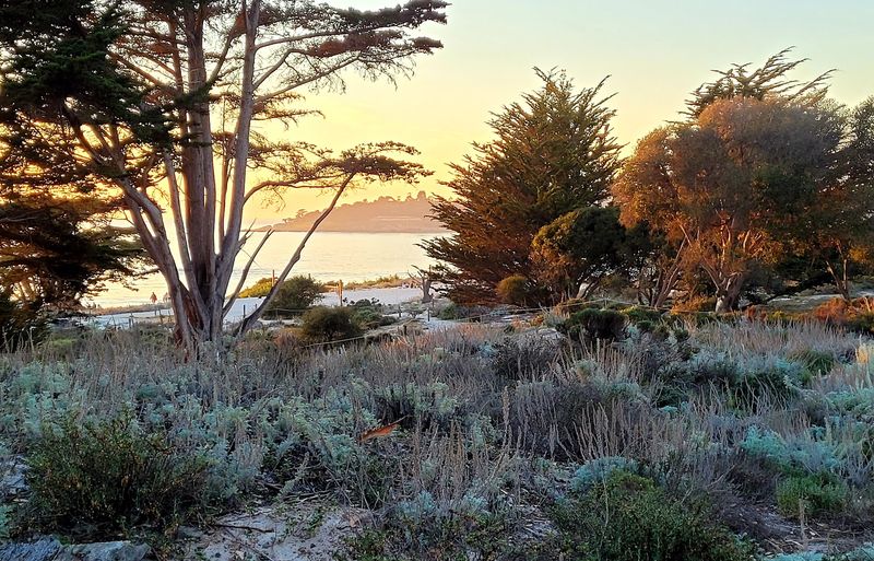 The Scenic Bluff Path: A Walk That Clears Your Head