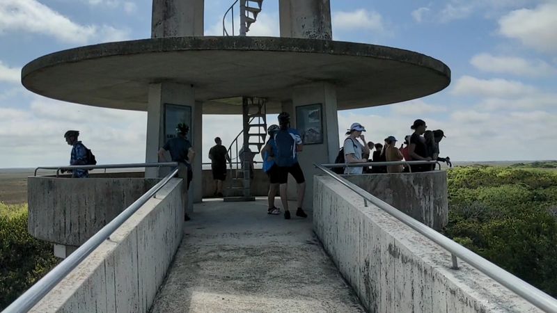 Hike to This Florida Overlook That Resembles a Mini Space Needle 14 Why the Shark Valley Observation Tower Should Be on Your Florida Bucket List