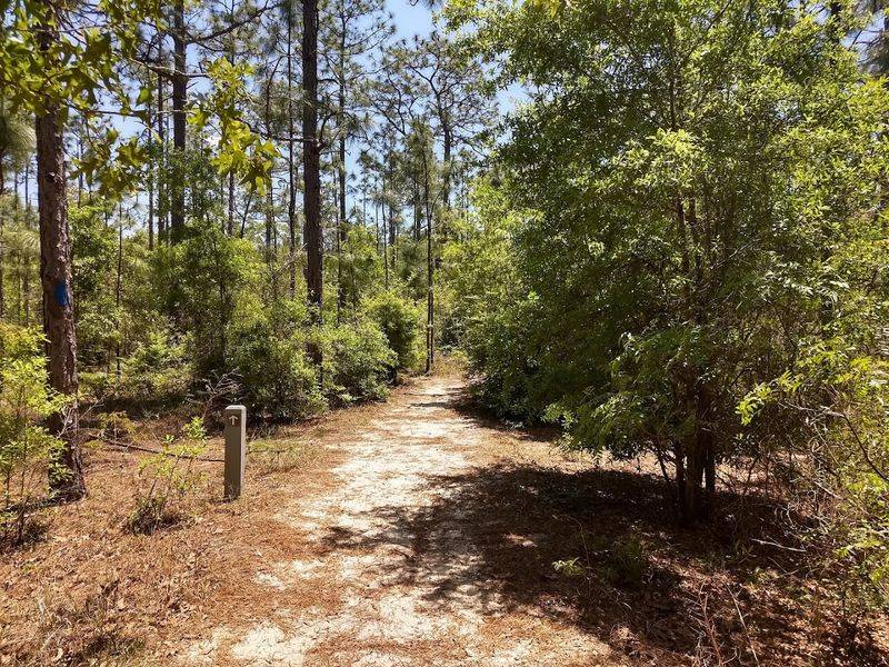 Trail Difficulty and Terrain Overview