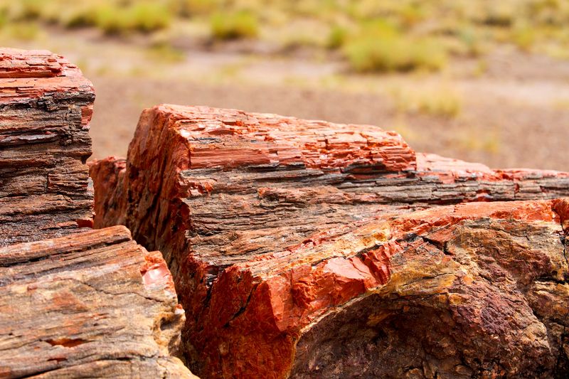 Agate House: A Home Built From Gemstones
