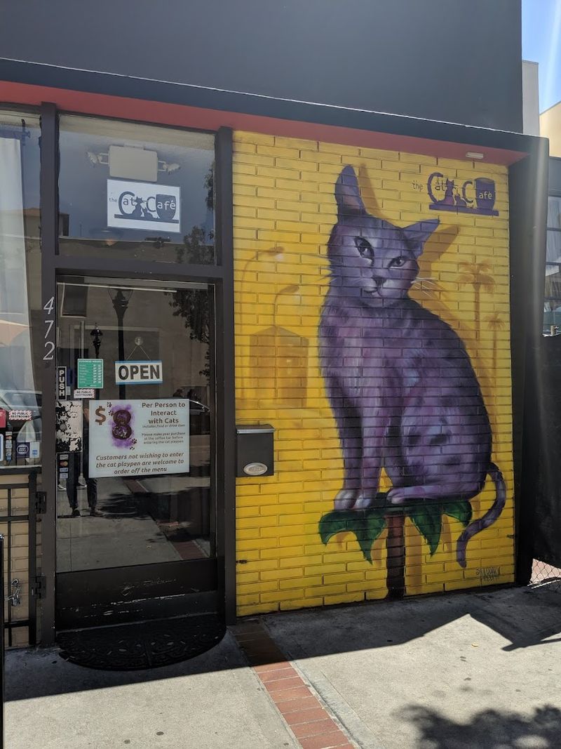 Calico Cat Cafe - San Diego, California