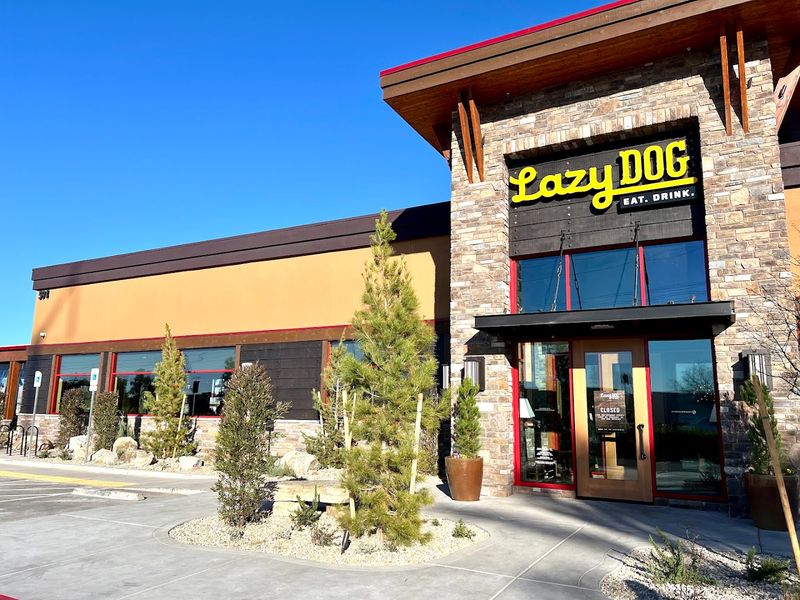 Lazy Dog Restaurant & Bar - Henderson, Nevada