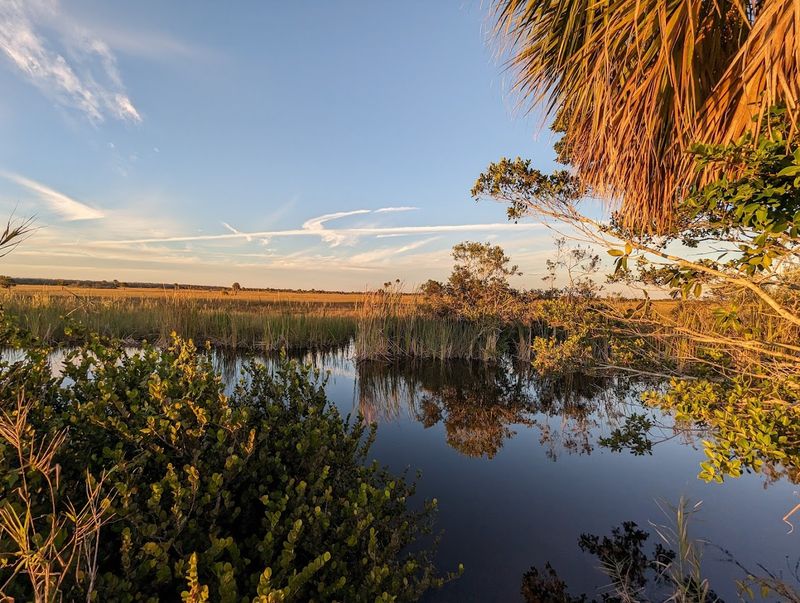 Burns Lake Campground Stargazing
