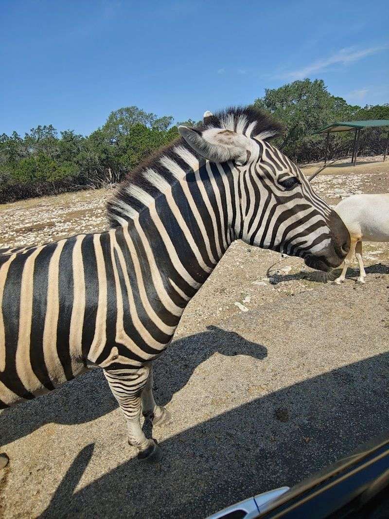 Photography Tips for Capturing the Best Moments