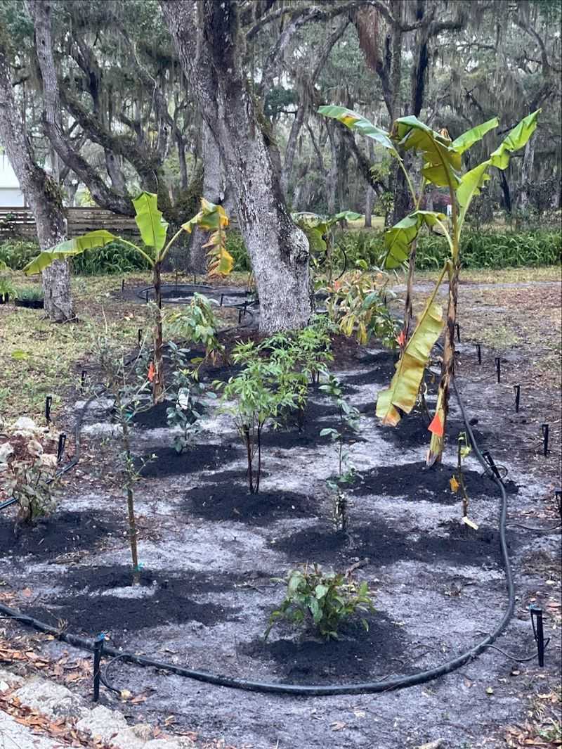 This Florida Greenhouse at GreenDreams Nursery in Spring Hill Is Changing How Locals Grow Fruits, Herbs, and Flowers 7 Permaculture Design and Regenerative Landscaping Services