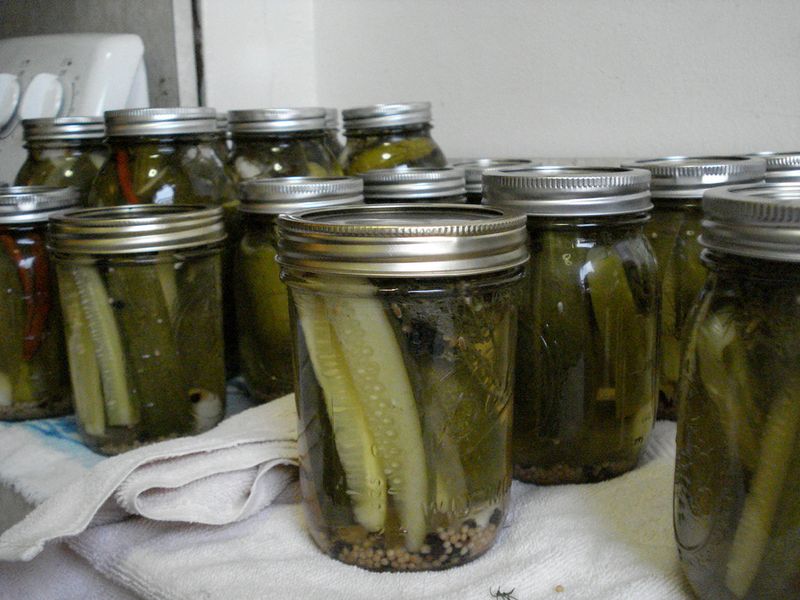 Homemade pickles