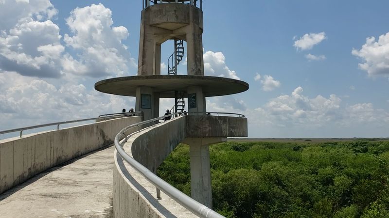 Hike to This Florida Overlook That Resembles a Mini Space Needle 5 The Tram Tour Experience: Guided Wildlife Adventure