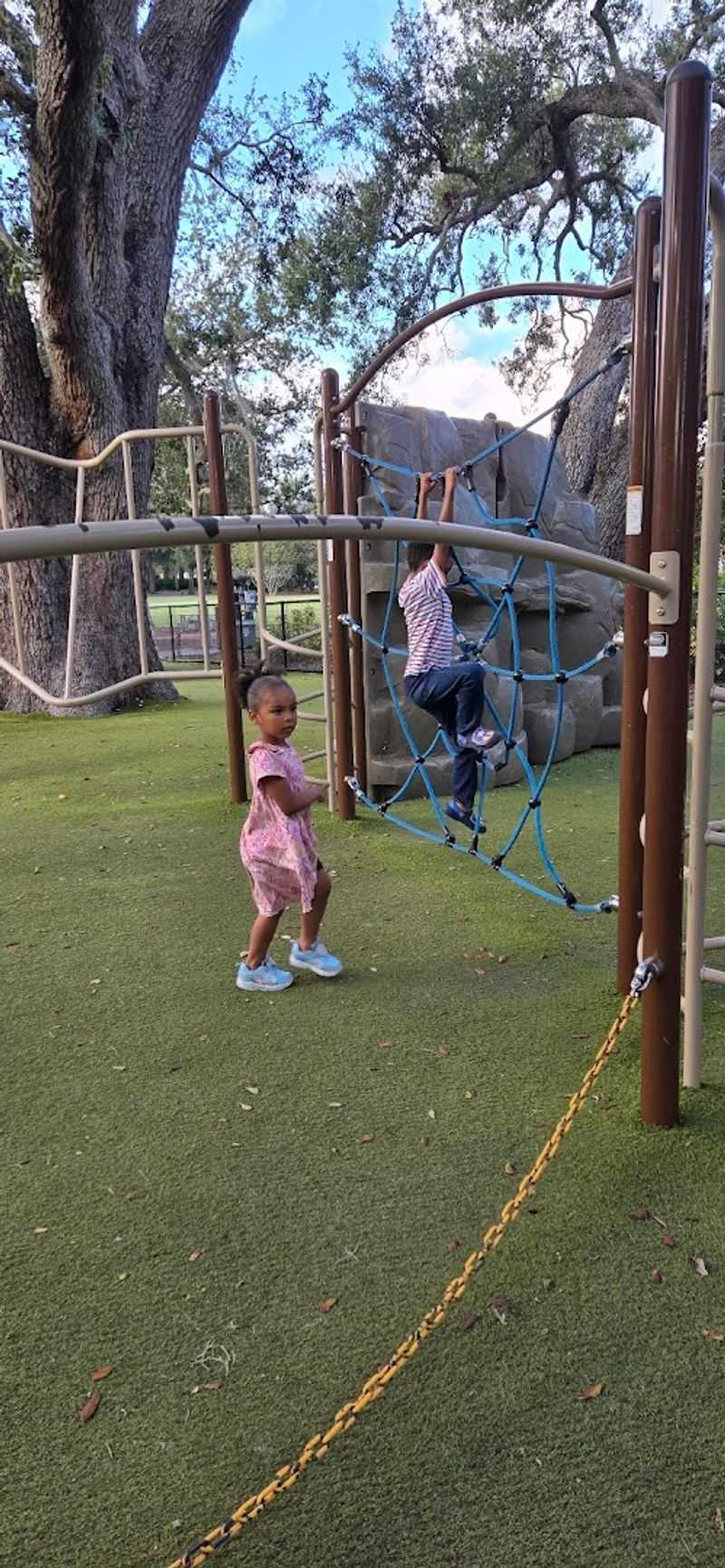 The Playground, Picnic Spots, and More Park Amenities