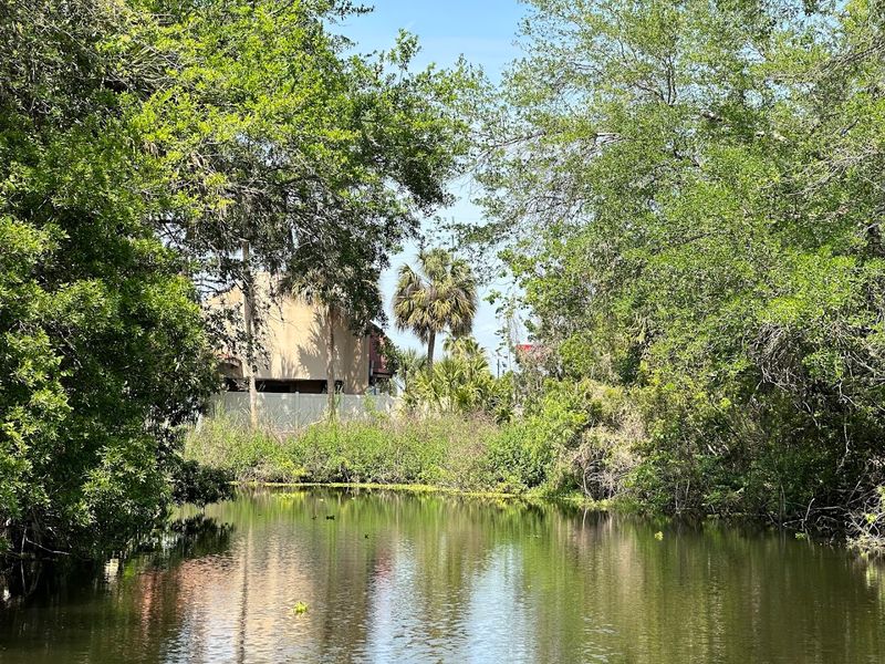 Endangered Red Wolves You Can Actually See