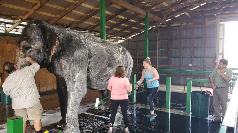 The Spa Experience Package Explained