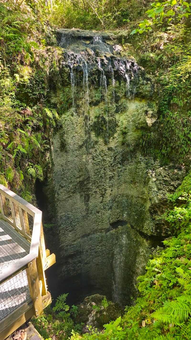 Rich History and Indigenous Heritage Beneath Your Feet