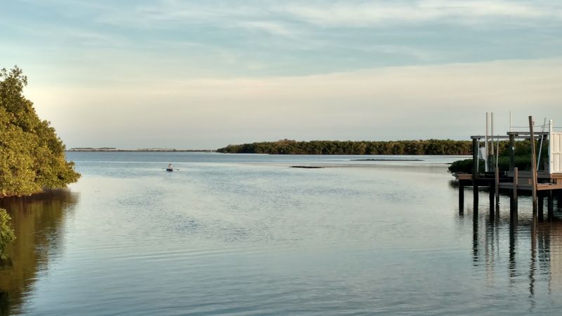 Kayaking on Tampa Bay