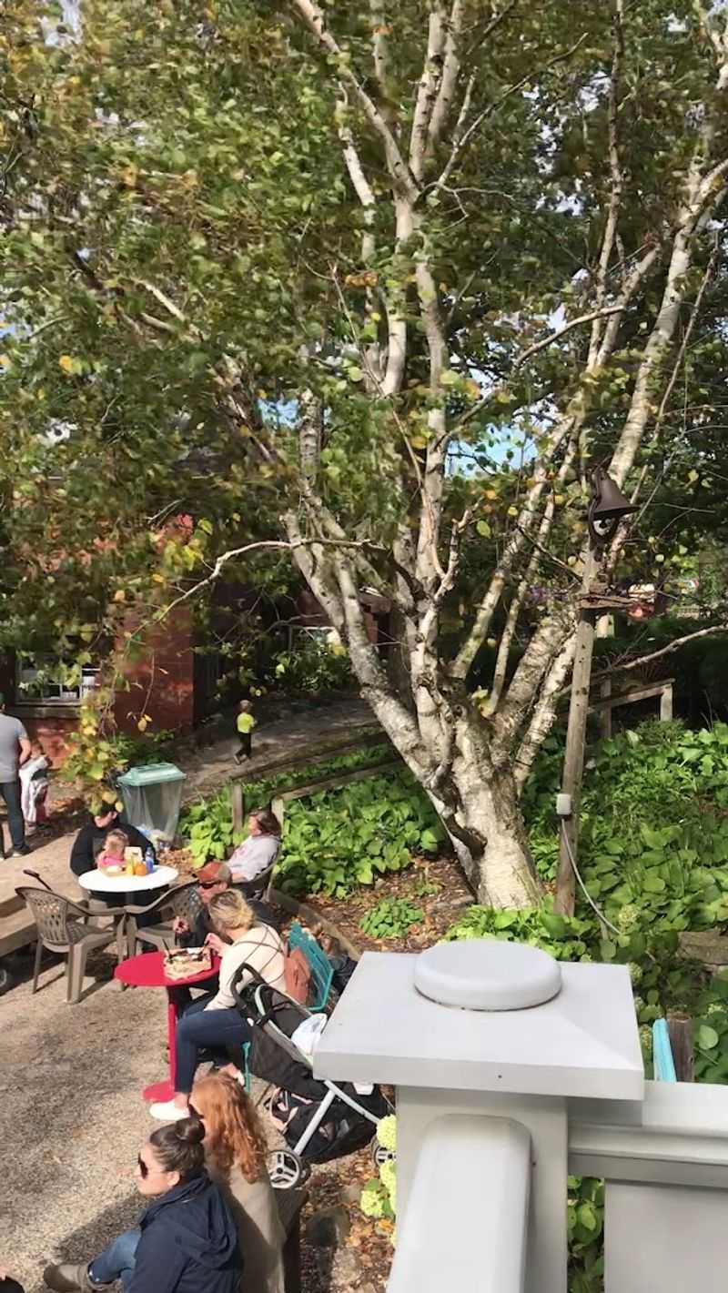 The Little Farmer llc. - Malone, Wisconsin