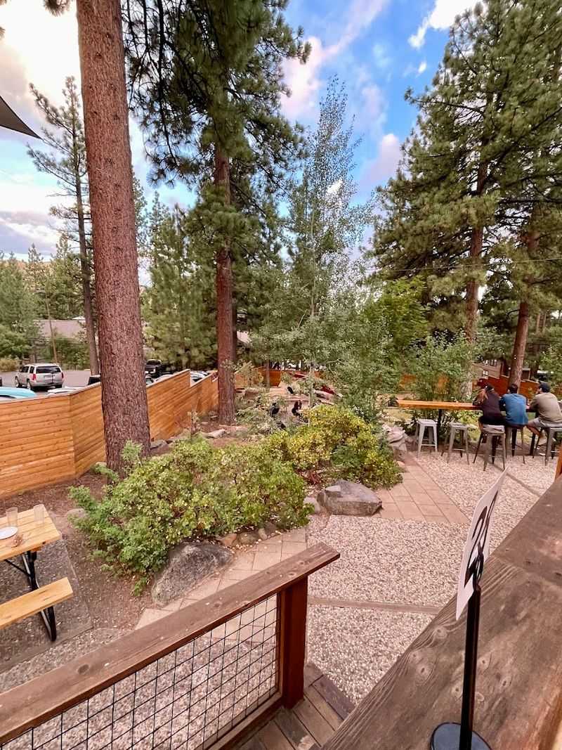 Alibi Ale Works - Incline Village, Nevada