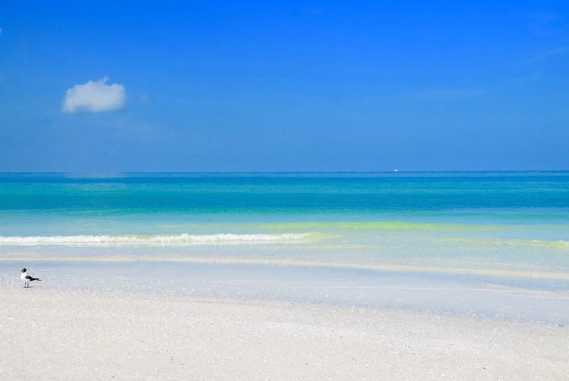 The Florida spot locals love when they want a break from crowds, traffic, and noise 9 Sunrise Walks: The Quiet Magic of Early Mornings