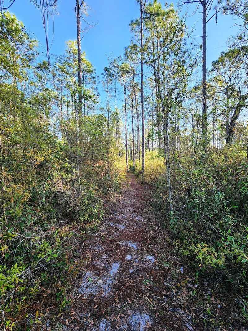 Brush Sink — The Alternative Destination