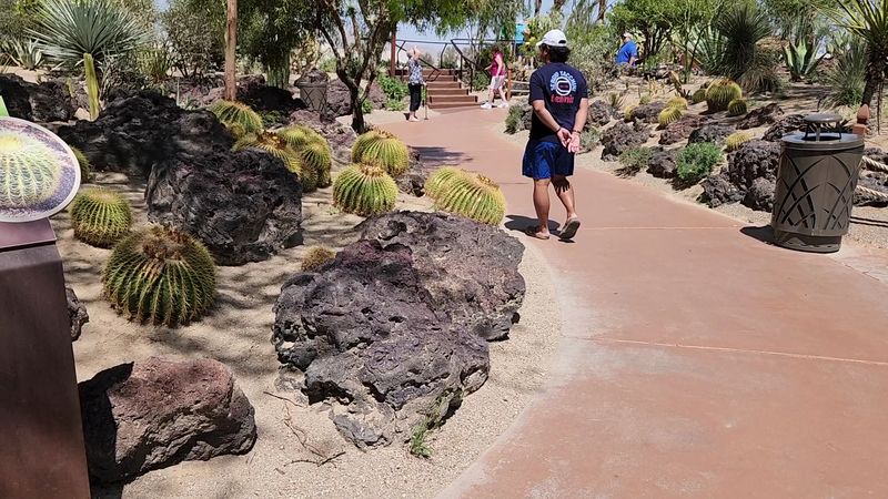 An Educational Walk Through Desert Plant Life