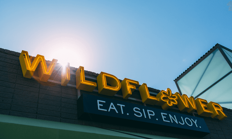 Wildflower - Sedona, Arizona