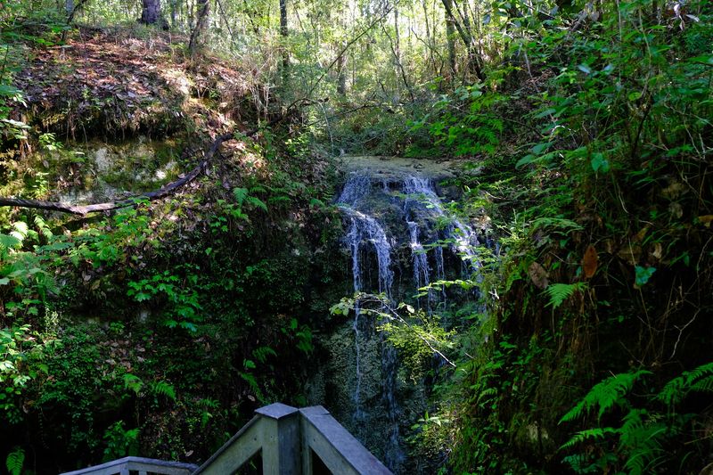Clean Restrooms That Parents Will Actually Appreciate
