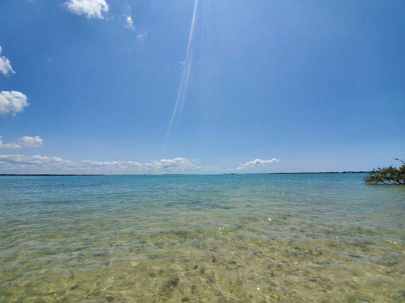 The quiet Florida island where time seems to slow down in the best possible way 4 Manatee Encounters So Close You Could Almost Reach Out and Touch Them