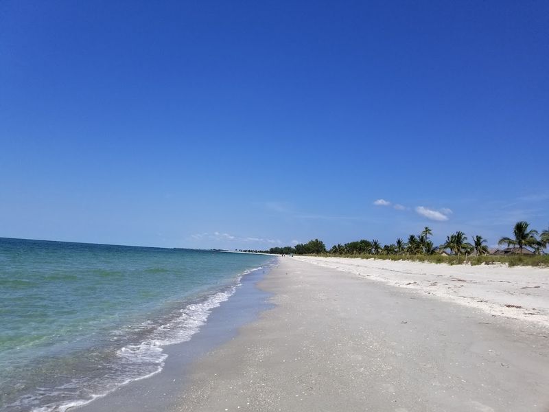 Turner Beach: A Hidden Shelling Hotspot