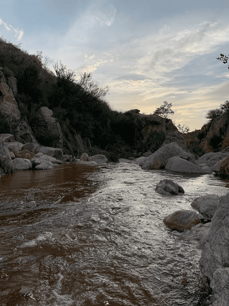 Catalina State Park - Tucson, Arizona