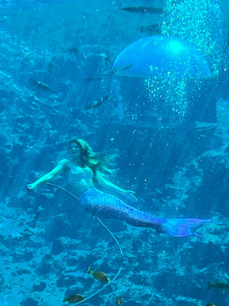 Weeki Wachee Mermaid Show - Spring Hill, Florida