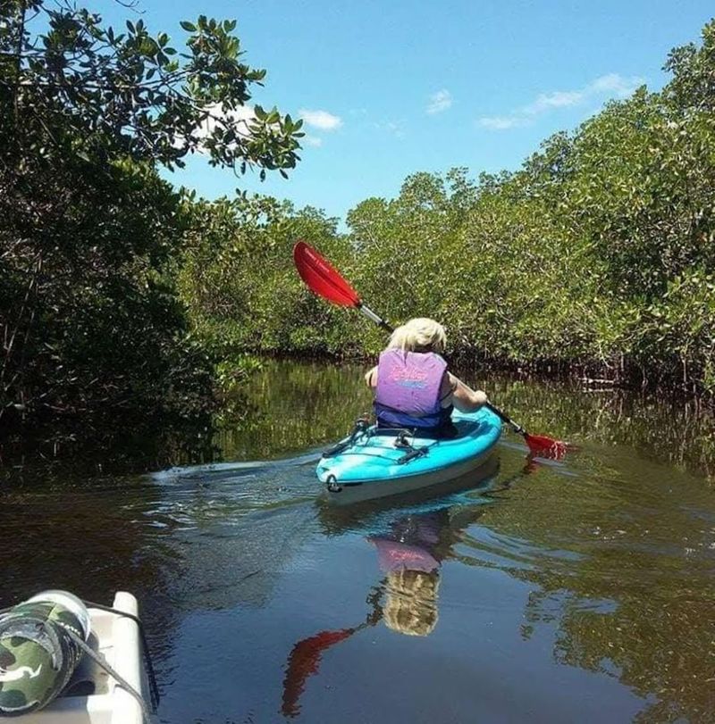 Kayaking Through Pristine Mangrove Tunnels