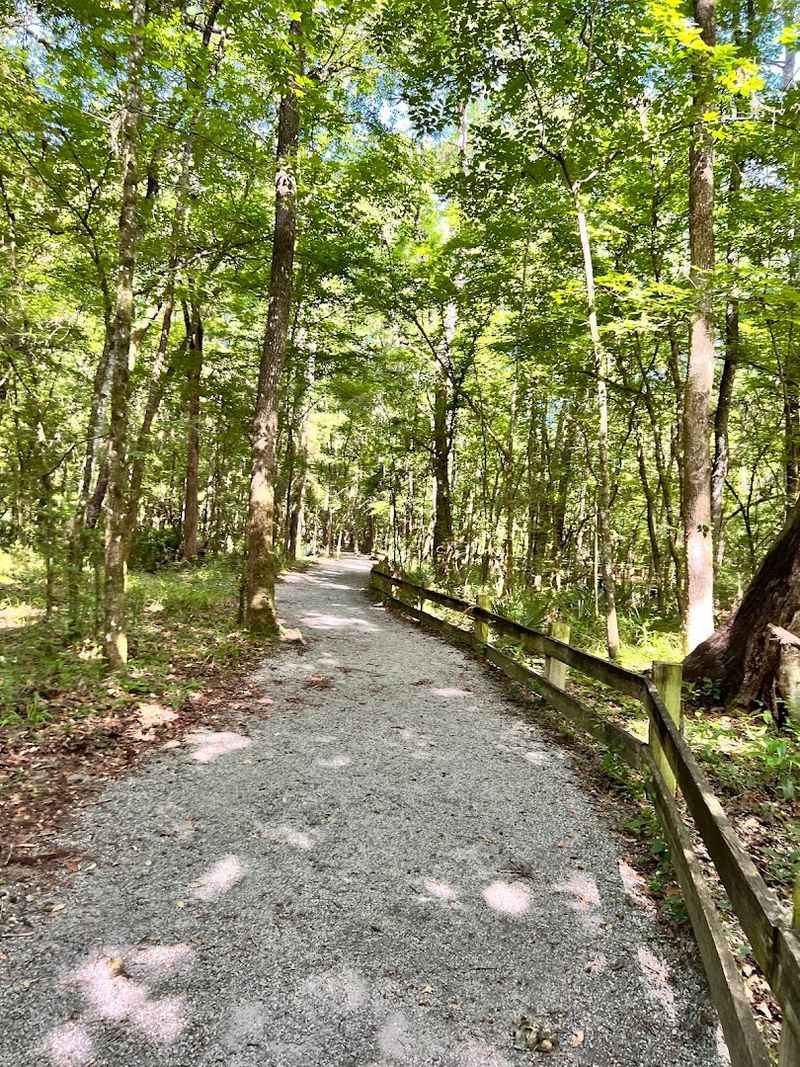 The Rim Trail: A Shady Half-Mile Loop Worth Every Step