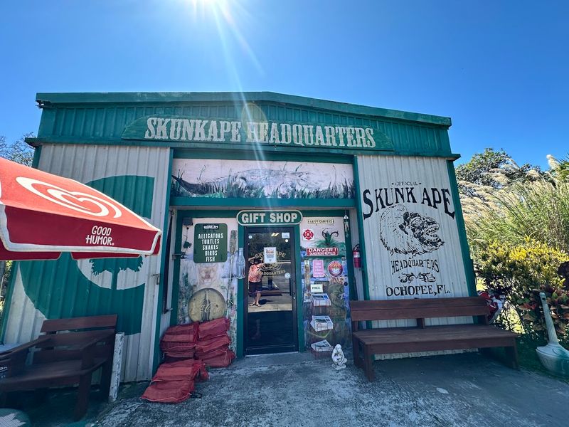 Skunk Ape Research Headquarters - Ochopee, Florida
