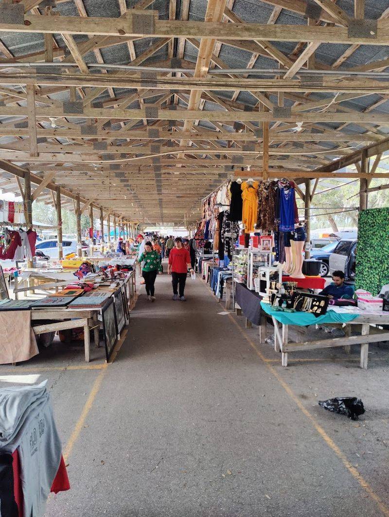 Live Music and a Festive Atmosphere