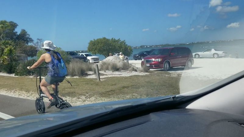 This 12-Mile Scenic Drive in Florida Is an Experience You Shouldn't Miss 9 Cycling Across the Causeway for a Workout With a View