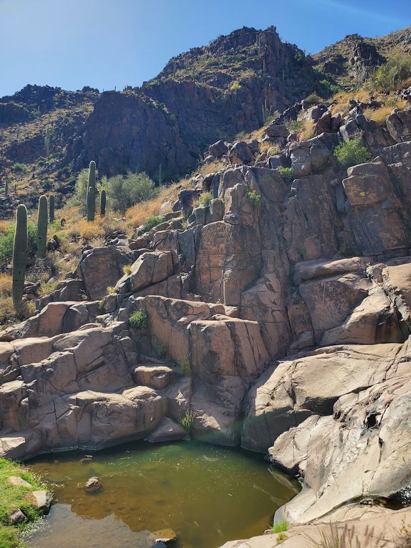 Monsoon Season and Trail Conditions