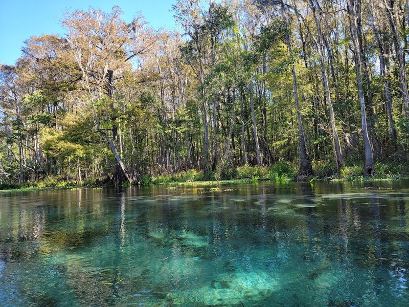 Ichetucknee Springs State Park - Fort White, Florida