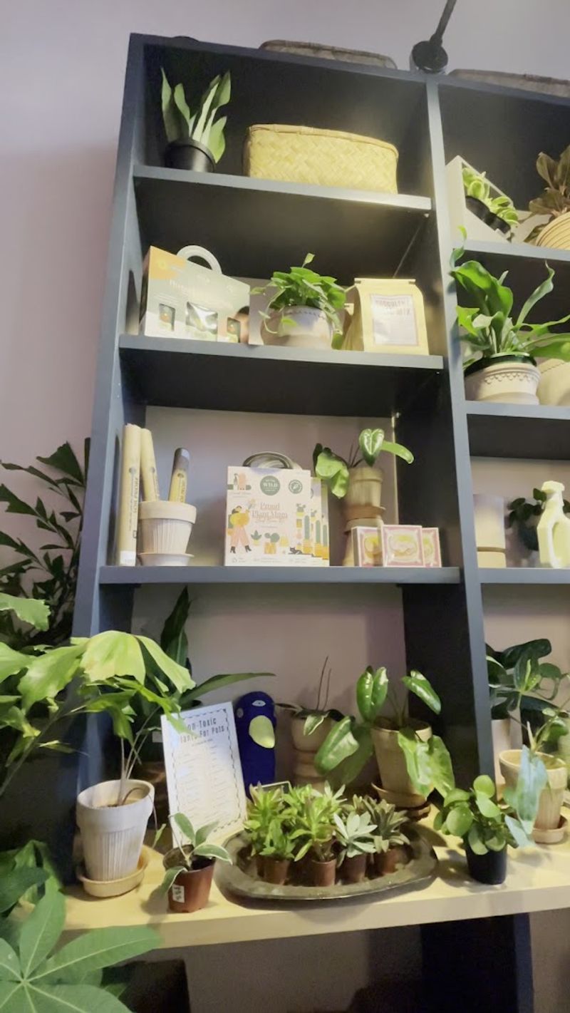 Plants Are Actually for Sale — Yes, You Can Take the Vibe Home