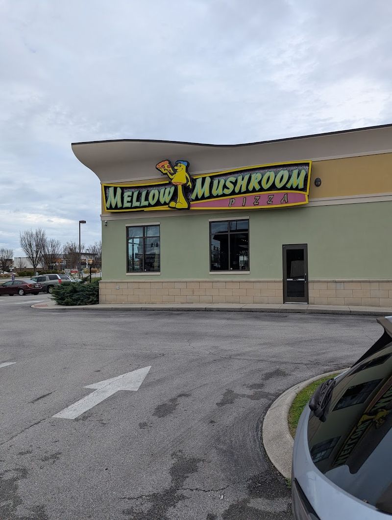 Mellow Mushroom - Chattanooga, Tennessee