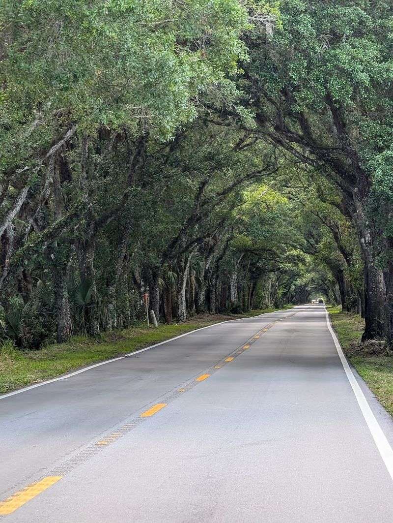 What It Feels Like to Drive Through at Different Times of Day