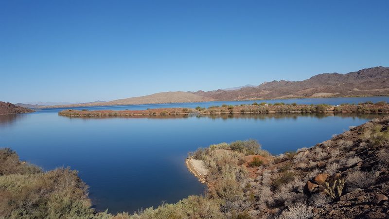 Camping Under the Stars at the Lake's Edge